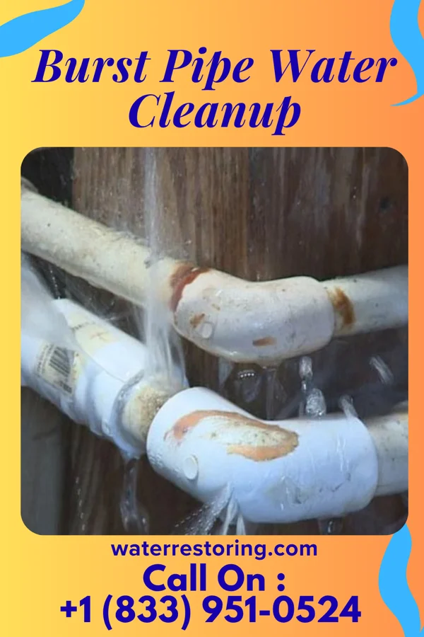 Burst Pipe Water Cleanup in Bethel Park, PA