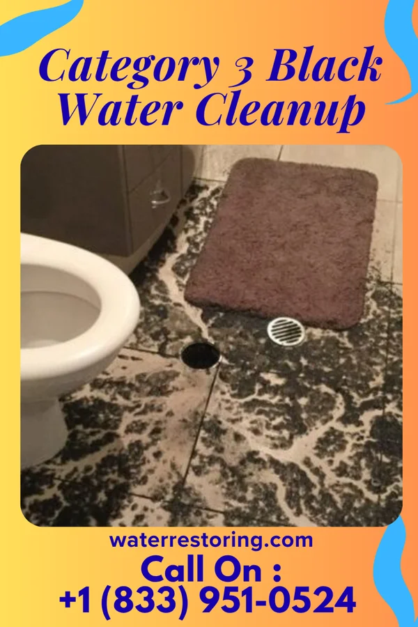 Category 3 Black Water Cleanup in Bethel Park, PA