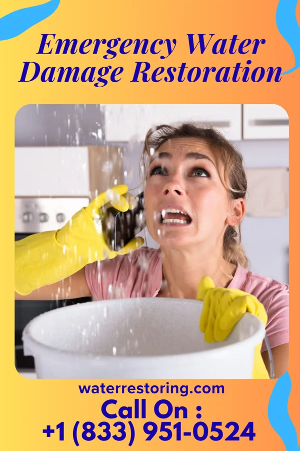 Emergency Water Damage Restoration in Bethel Park, PA