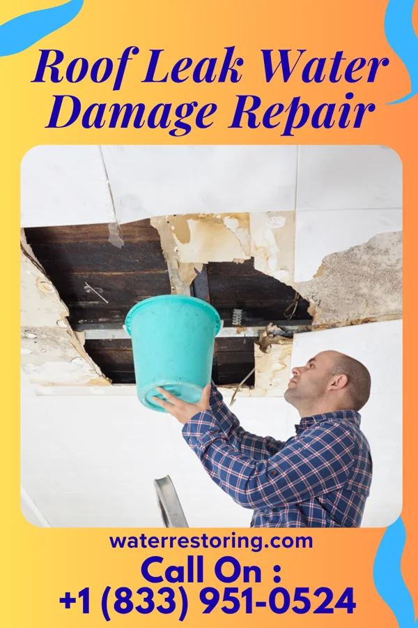 Roof Leak Water Damage Repair in Bethel Park, PA